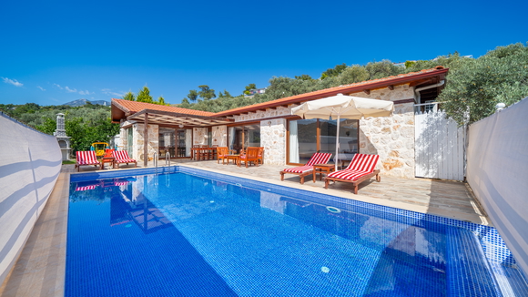 Villa Fesleğen Üzümlü